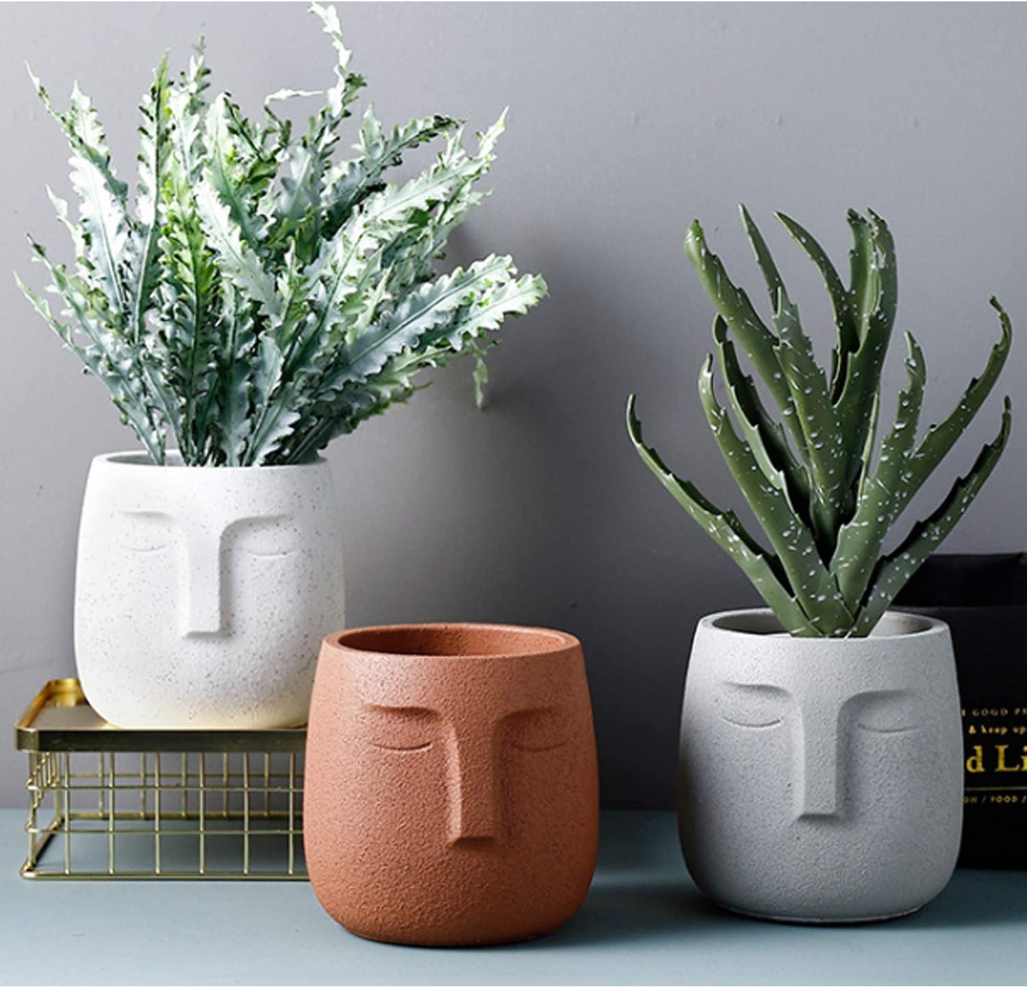 modern-planters-head