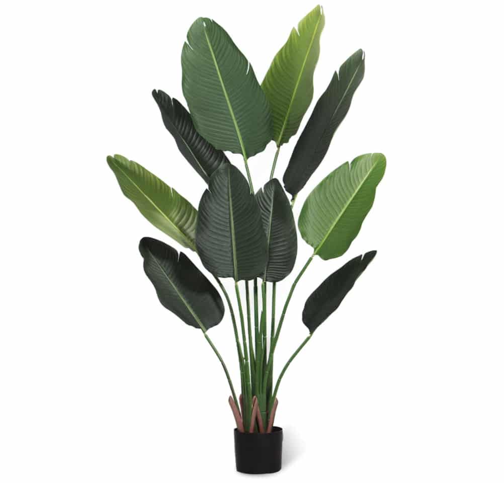 jungle-nursery-decor-plant