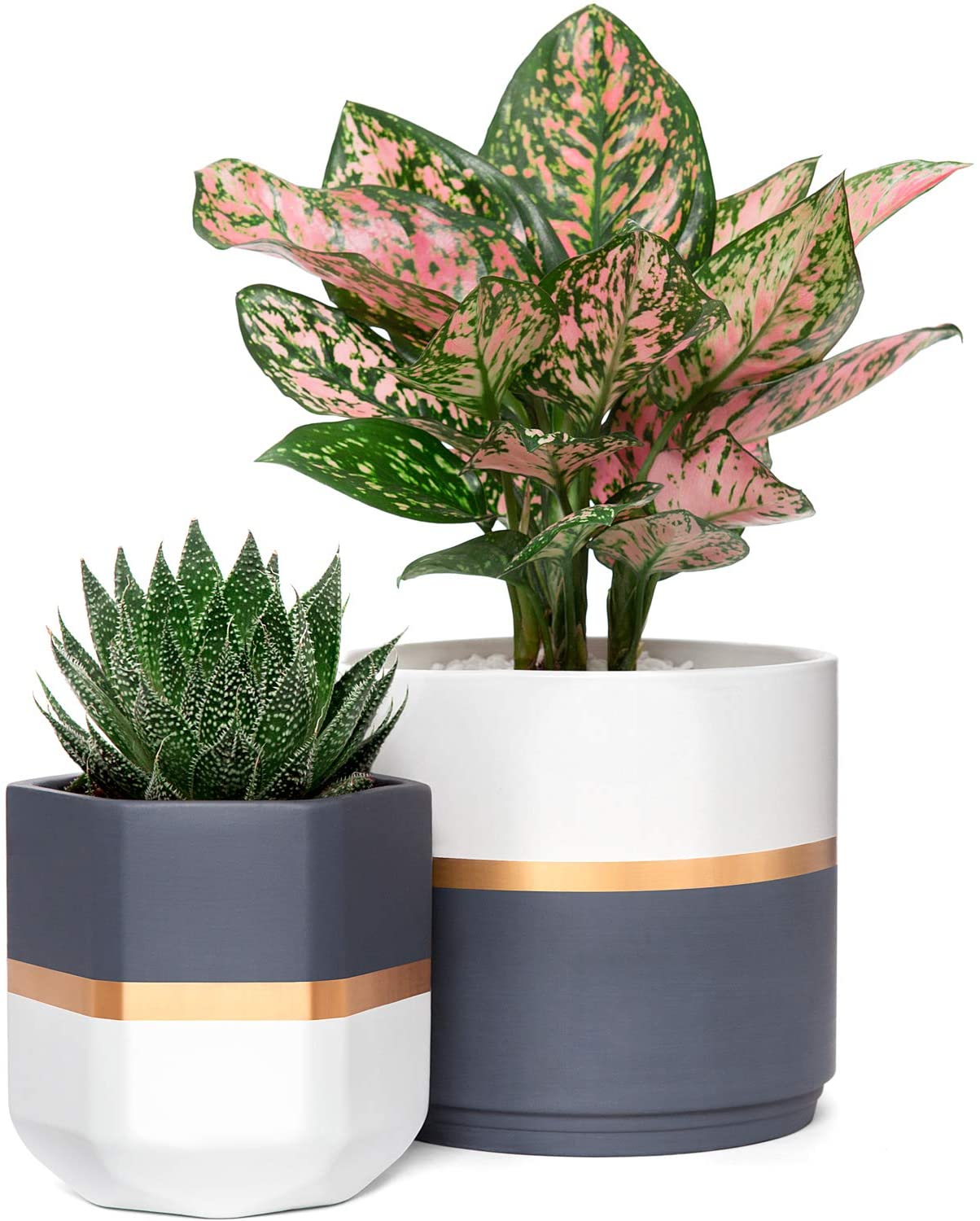 modern-planters-geo