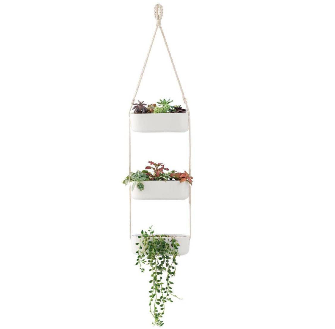 wall-planters-indoor-vertical