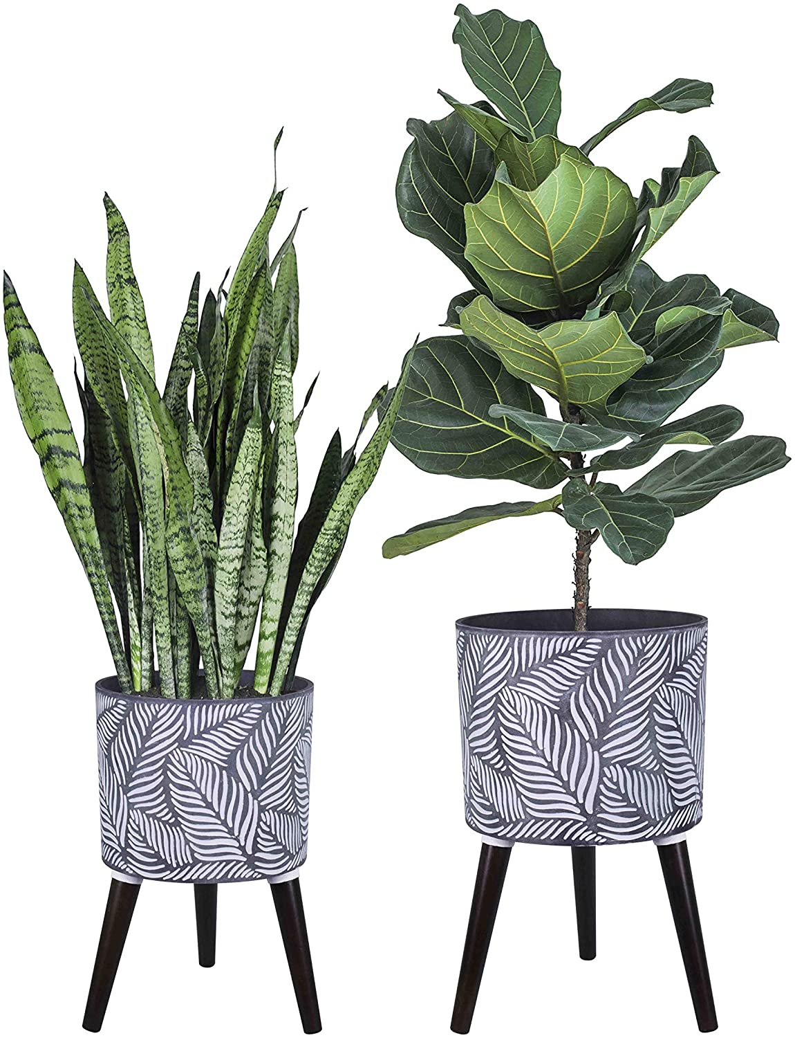 modern-planters-leaf