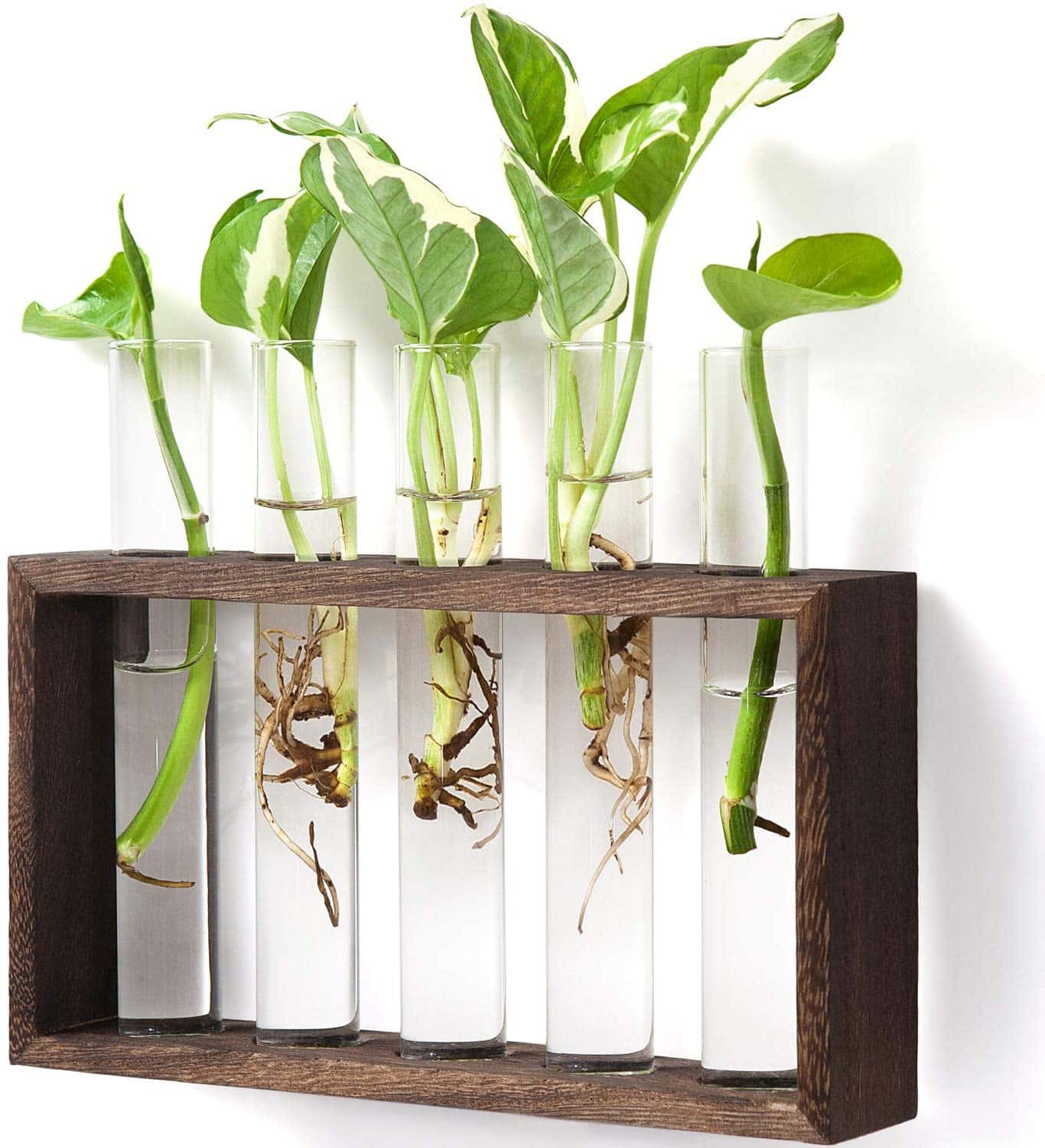 wall-planters-indoor--bud-vases