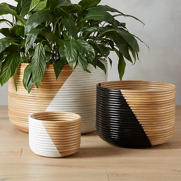 modern-planters-basket
