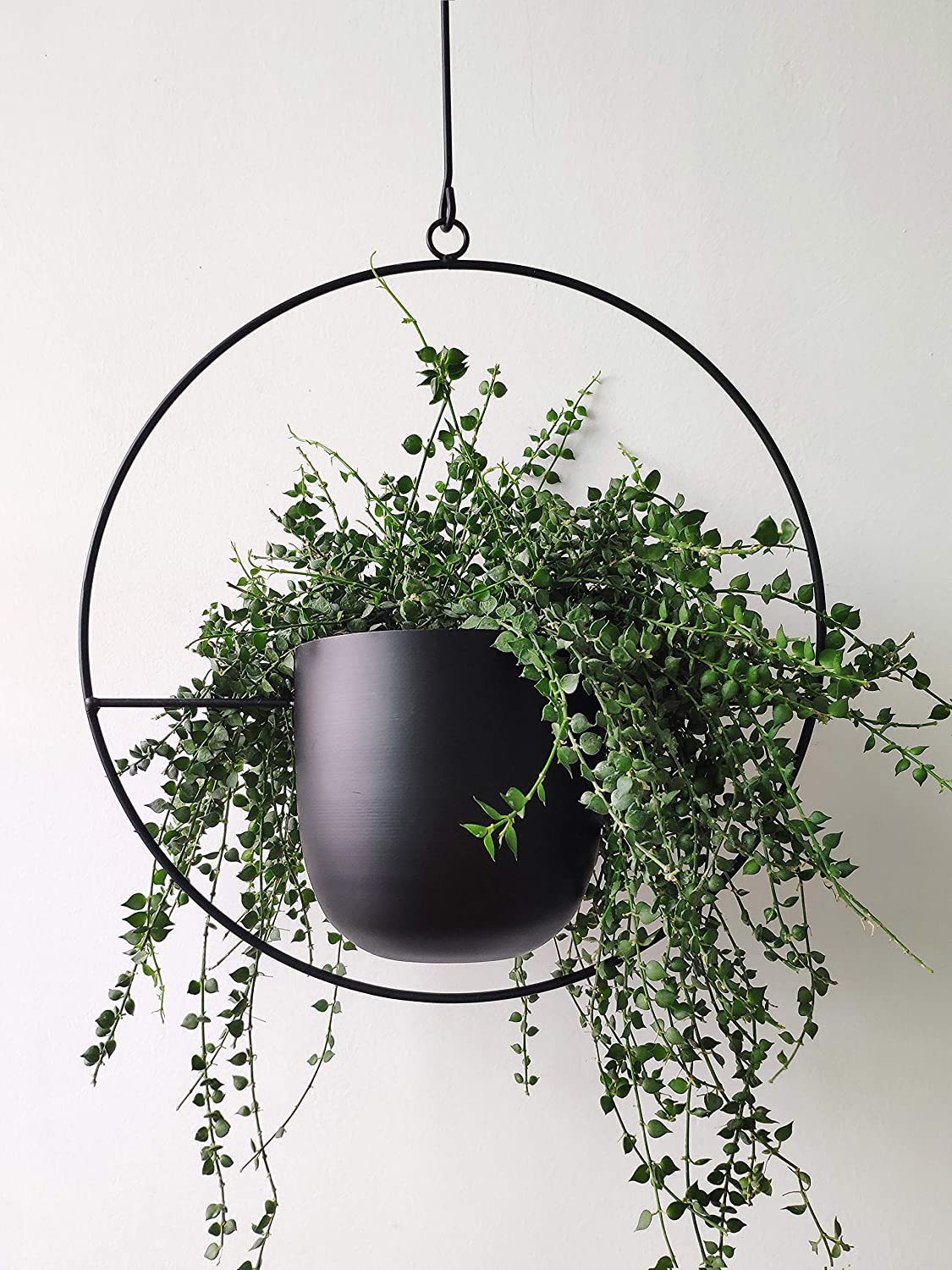 modern-planters-hanging 