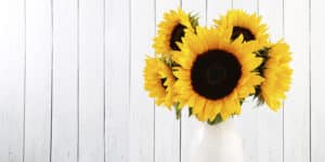 24 Sunflower Kitchen Decor Ideas That Will Bring In The Sunshine