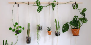 Wall Planters To Bring The Great Outdoors Inside