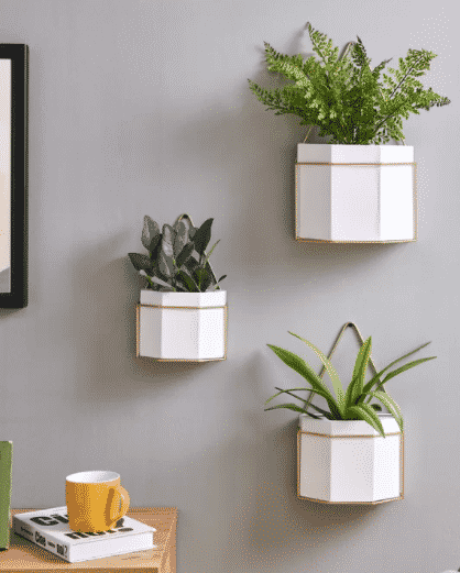 wall-planters-indoor-hexagon