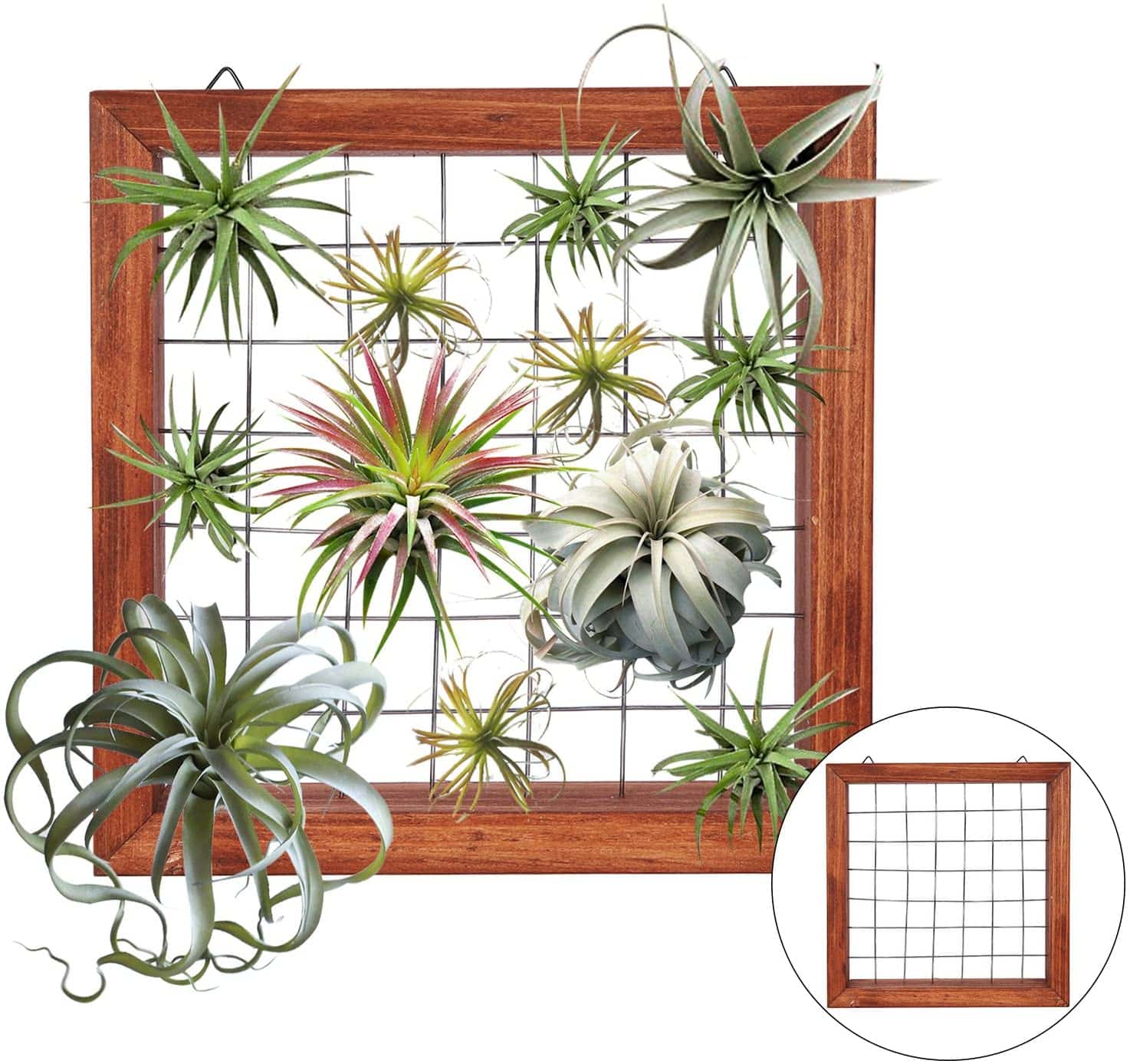 wall-planters-indoor-frame