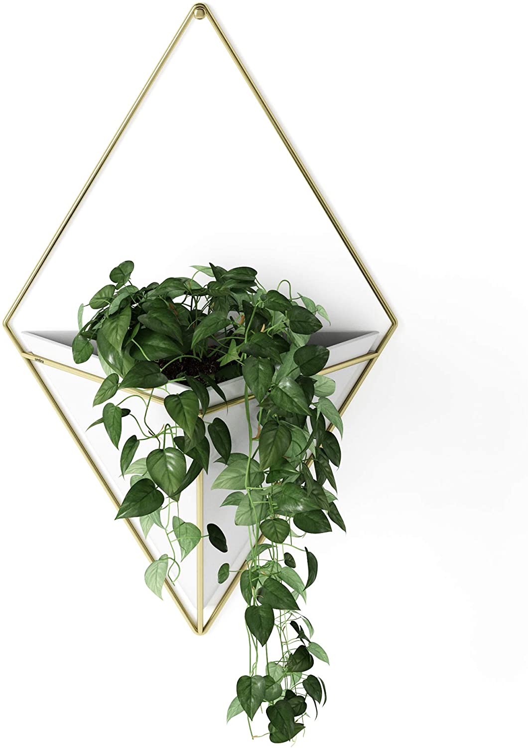 wall-planter-indoor-geometric