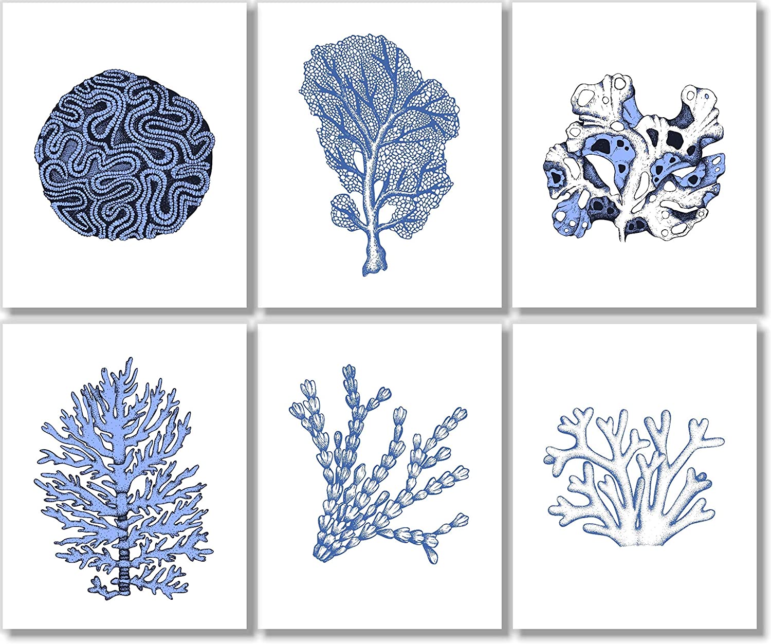 ocean-art-coral-prints